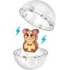 image:imageMagnaTiles Hamster Ball 13Piece Magnetic Construction Set The Original Magnetic Building Brand