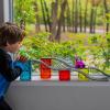 image:imageMagnaTiles Downhill Duo 40Piece Magnetic Construction Set The Original Magnetic Building Brand